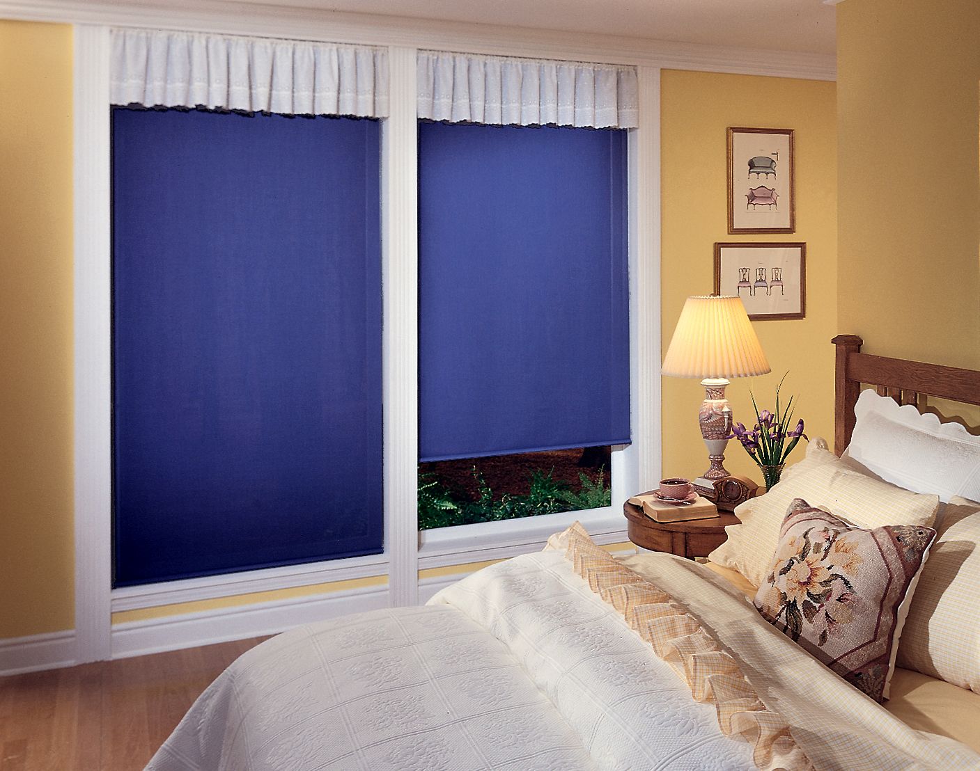 Blinds.ca: Economy Blackout Roller Shades